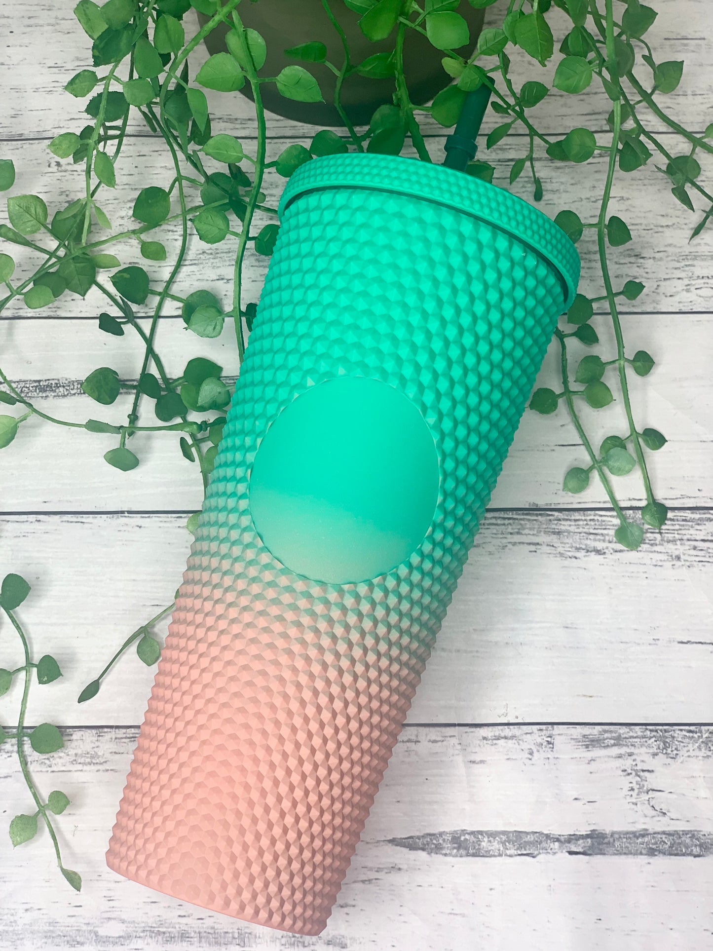 Acrylic studded Ombre Tumbler with Straw 24oz - 710ml